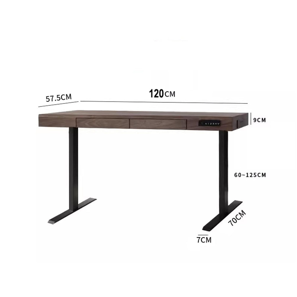 Single-Motor Electric Standing Desk with Drawer
