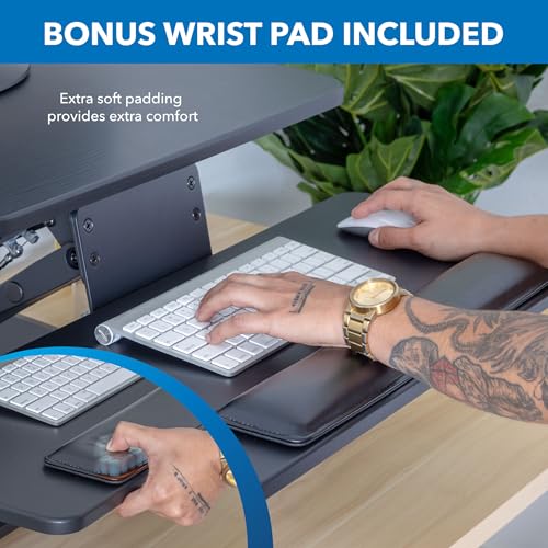Standing Desk Converter with Dual Monitor Mount