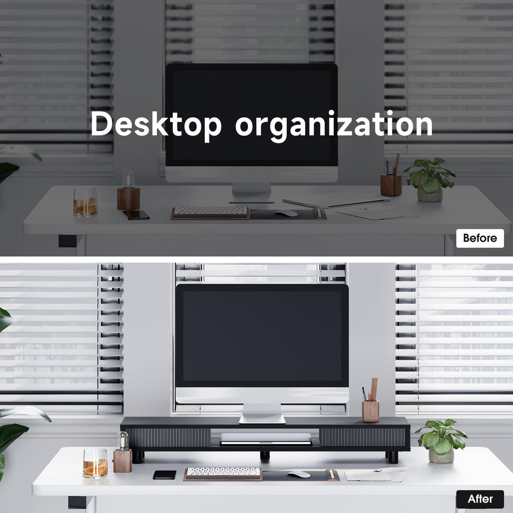 Dual-Monitor Stand with Storage