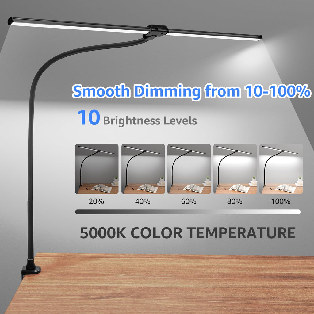 Double-Head Adjustable LED Desk Lamp