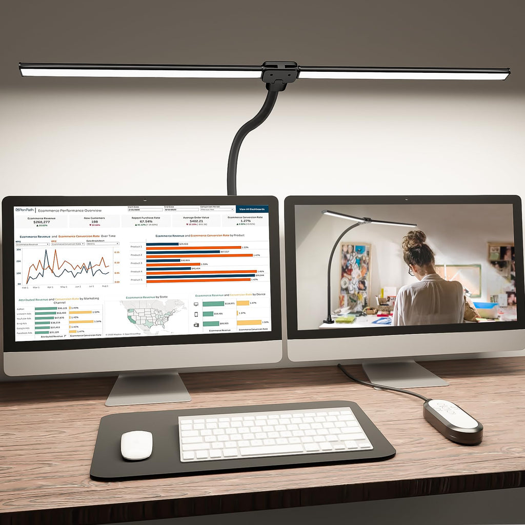 Double-Head Adjustable LED Desk Lamp
