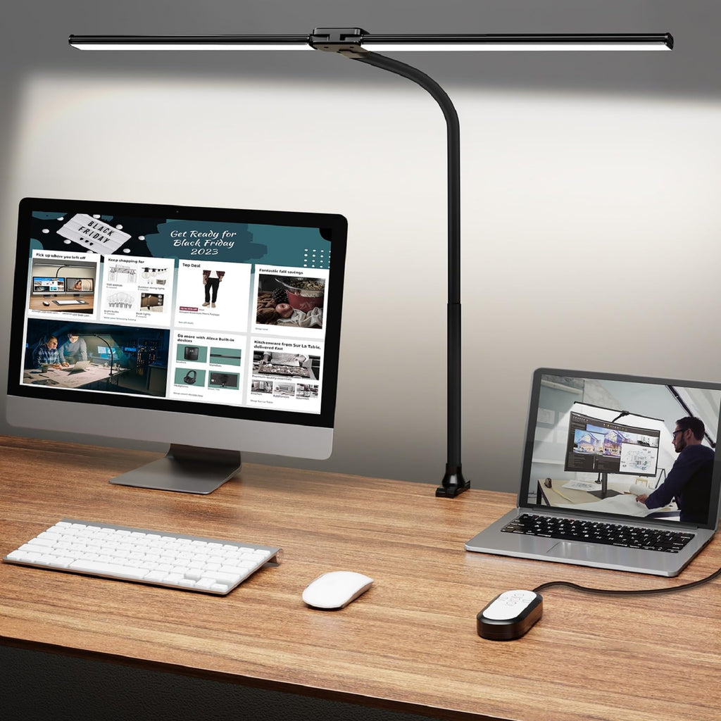 Double-Head Adjustable LED Desk Lamp