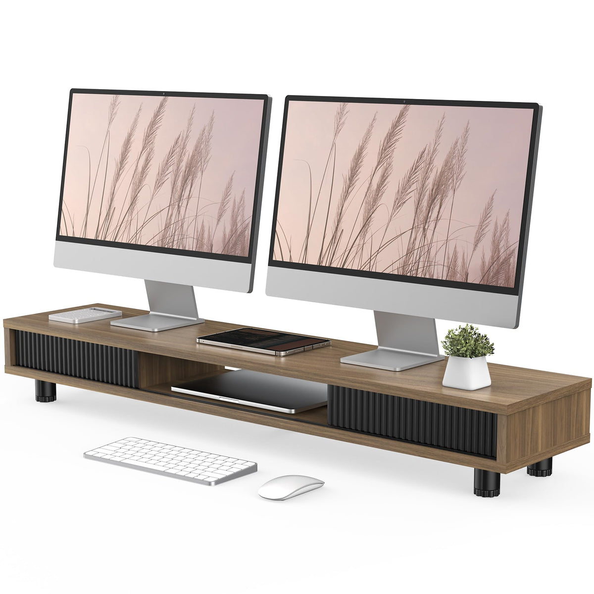 Dual-Monitor Stand with Storage
